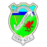 Pontardawe Town logo