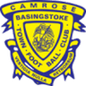 Basingstoke Town logo