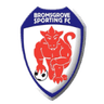 Bromsgrove Sporting logo