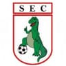 Sousa logo