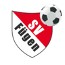 Fügen logo
