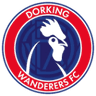 Dorking Wanderers logo