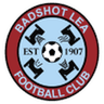 Badshot Lea logo