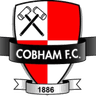 Cobham logo