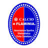 Flaminia logo