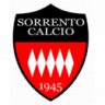 Sorrento logo