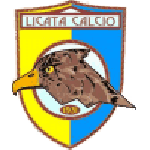 Licata logo