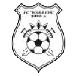 Warrior logo
