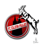 Feulen logo