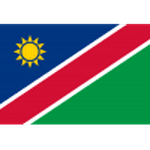 Namibia W logo