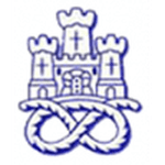 Newcastle Town logo